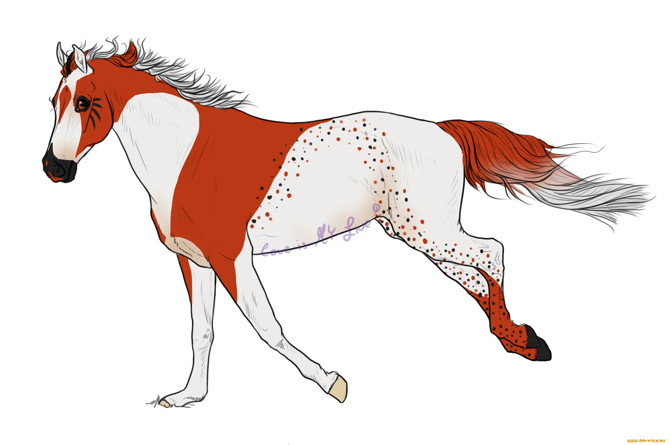 Всратые рисунки животных лошадь